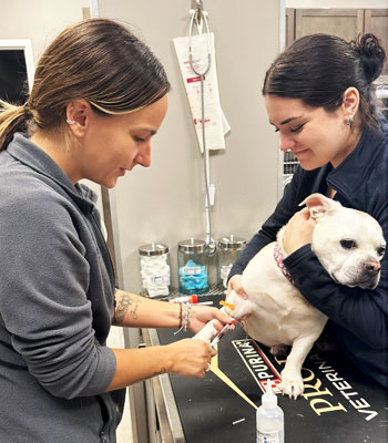 Crosswinds Veterinary Hospital 